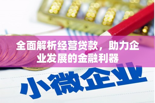 保康全面解析经营贷款，助力企业发展的金融利器