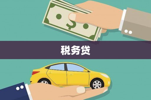 保康税务贷