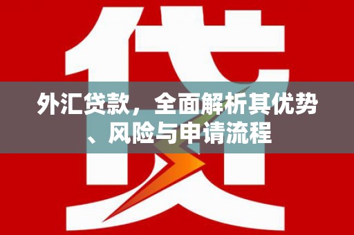 保康外汇贷款，全面解析其优势、风险与申请流程