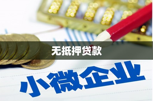 保康无抵押贷款