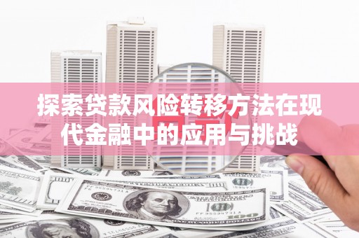 保康探索贷款风险转移方法在现代金融中的应用与挑战