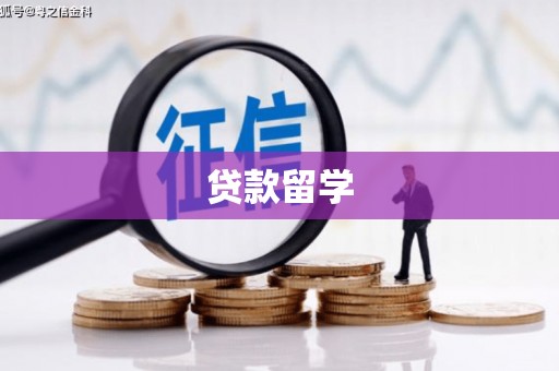 保康贷款留学