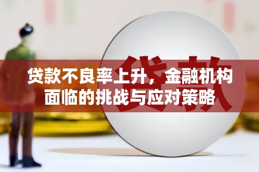 保康贷款不良率上升，金融机构面临的挑战与应对策略