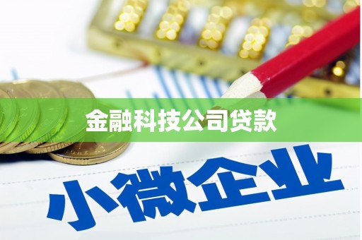 保康金融科技公司贷款