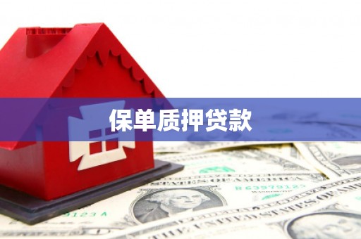 保康保单质押贷款