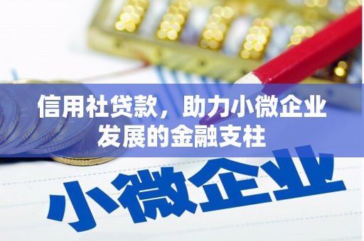 保康信用社贷款，助力小微企业发展的金融支柱