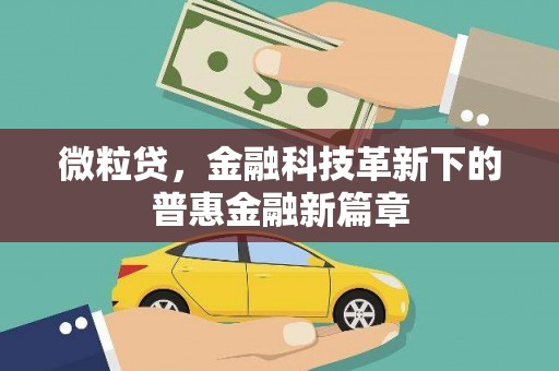 保康微粒贷，金融科技革新下的普惠金融新篇章