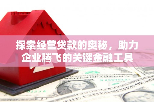 保康探索经营贷款的奥秘，助力企业腾飞的关键金融工具