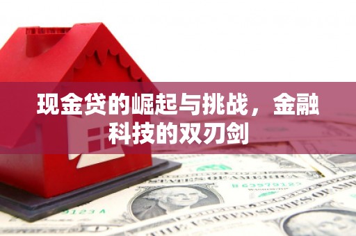 保康现金贷的崛起与挑战，金融科技的双刃剑