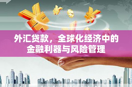 保康外汇贷款，全球化经济中的金融利器与风险管理