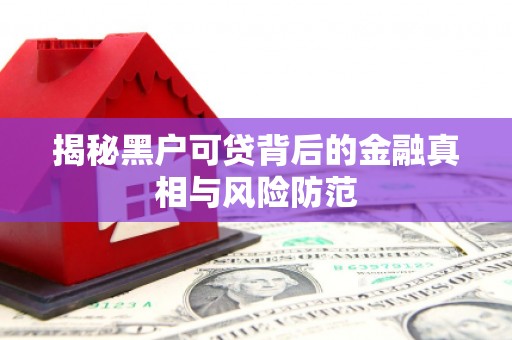 保康揭秘黑户可贷背后的金融真相与风险防范