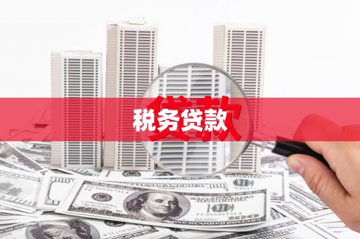 保康税务贷款