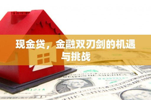 保康现金贷，金融双刃剑的机遇与挑战