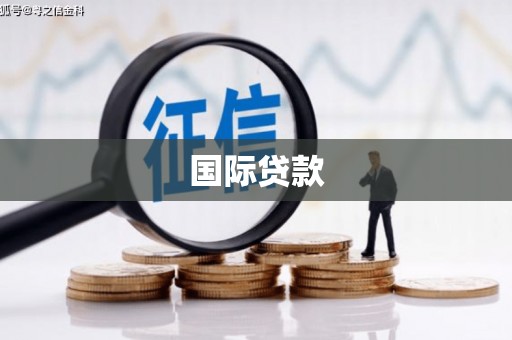 保康国际贷款