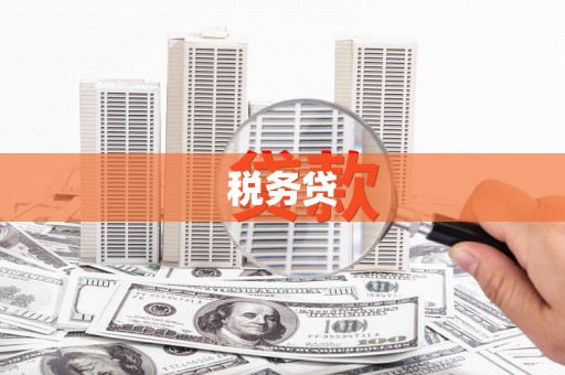 保康税务贷
