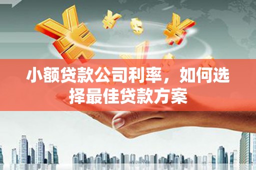 保康小额贷款公司利率，如何选择最佳贷款方案