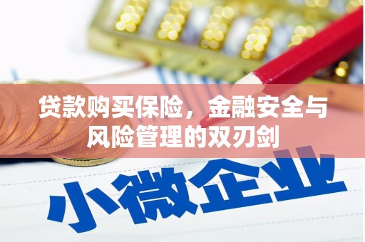 保康贷款购买保险，金融安全与风险管理的双刃剑