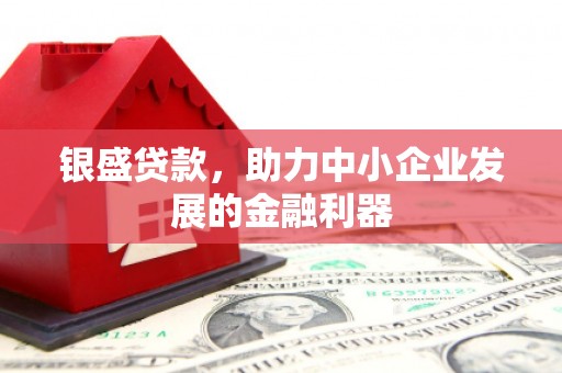 保康银盛贷款，助力中小企业发展的金融利器