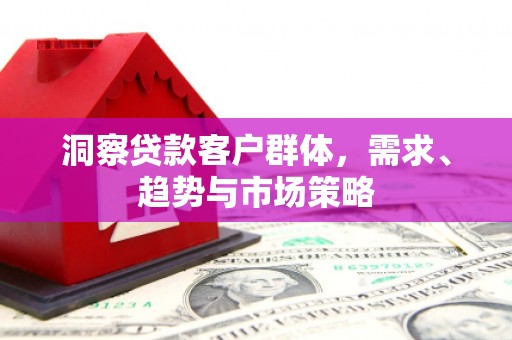 保康洞察贷款客户群体，需求、趋势与市场策略