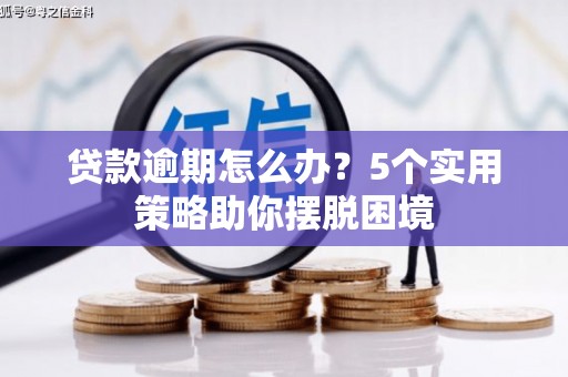 保康贷款逾期怎么办？5个实用策略助你摆脱困境
