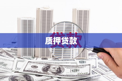 保康质押贷款