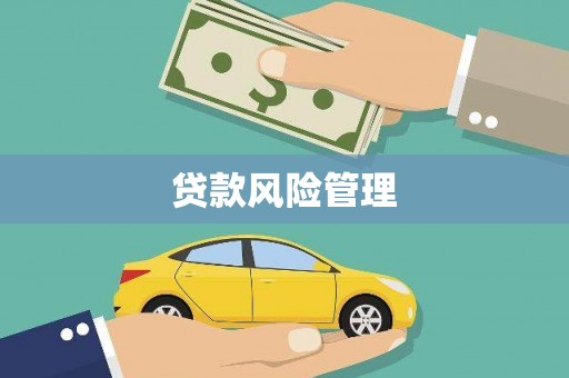 保康贷款风险管理