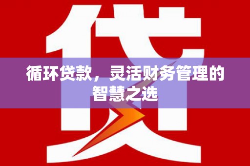 保康循环贷款，灵活财务管理的智慧之选