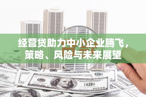 保康经营贷助力中小企业腾飞，策略、风险与未来展望