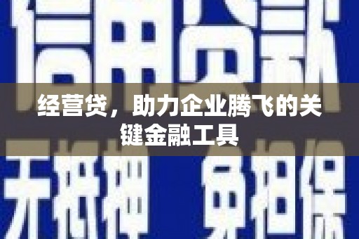 保康经营贷，助力企业腾飞的关键金融工具