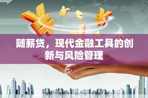 保康随薪贷，现代金融工具的创新与风险管理
