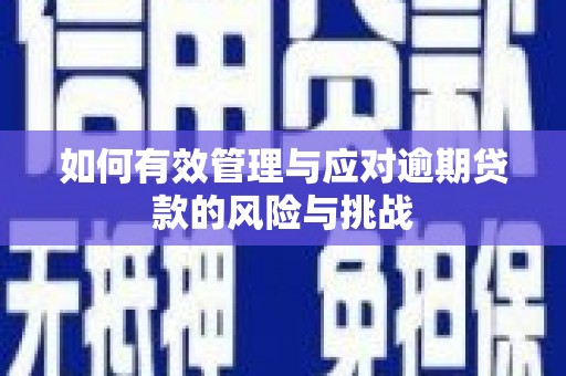 保康如何有效管理与应对逾期贷款的风险与挑战