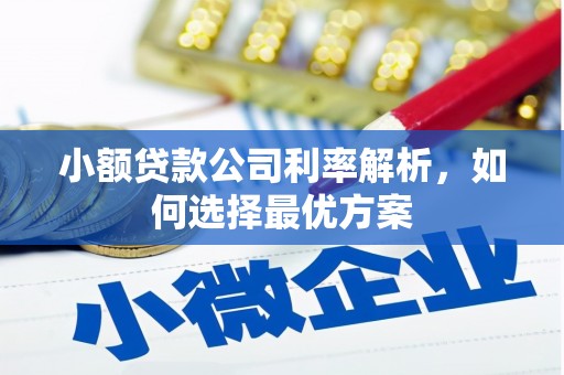保康小额贷款公司利率解析，如何选择最优方案