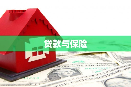 保康贷款与保险