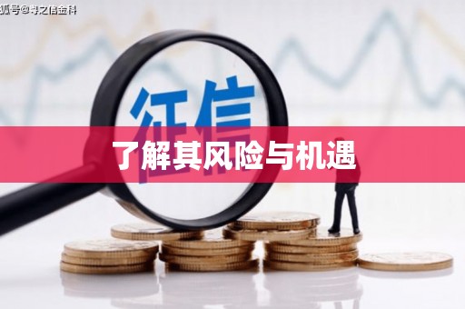 保康了解其风险与机遇