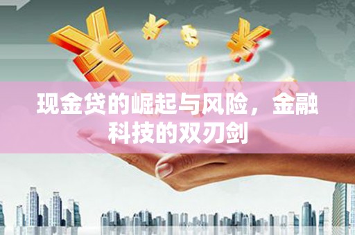 保康现金贷的崛起与风险，金融科技的双刃剑