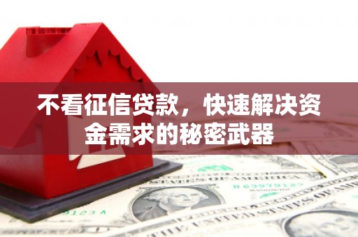 保康不看征信贷款，快速解决资金需求的秘密武器