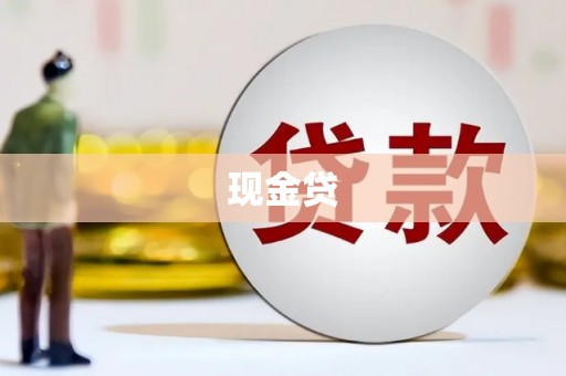 保康现金贷