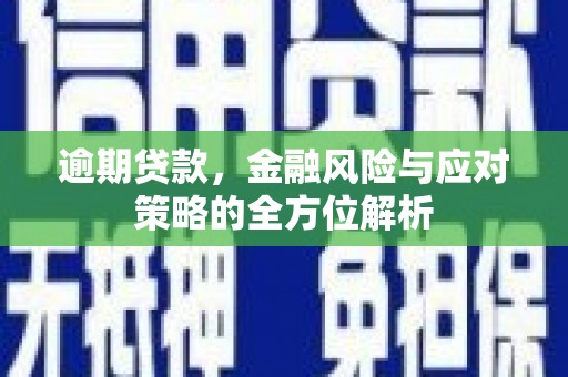 保康逾期贷款，金融风险与应对策略的全方位解析