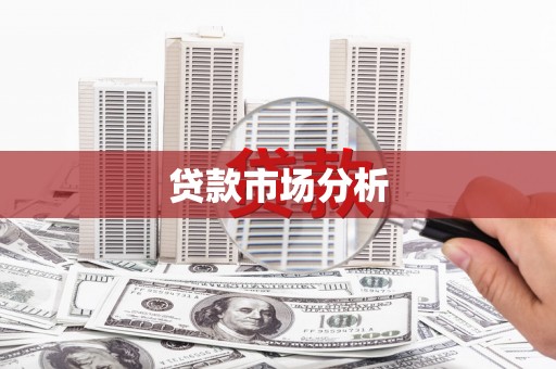 保康贷款市场分析