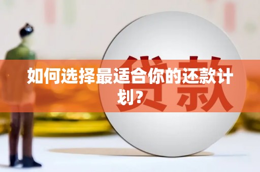 保康如何选择最适合你的还款计划？