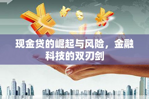 保康现金贷的崛起与风险，金融科技的双刃剑