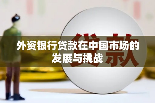 保康外资银行贷款在中国市场的发展与挑战
