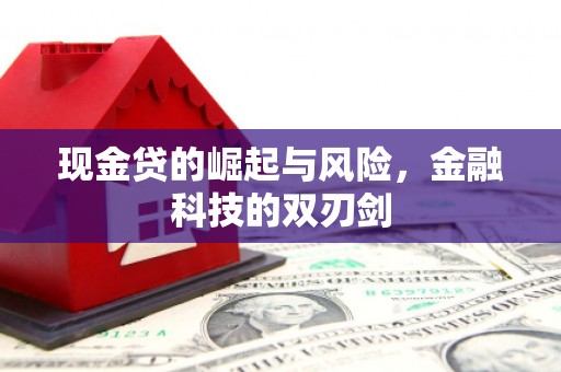 保康现金贷的崛起与风险，金融科技的双刃剑