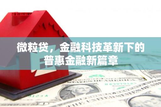 保康微粒贷，金融科技革新下的普惠金融新篇章