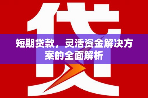保康短期贷款，灵活资金解决方案的全面解析