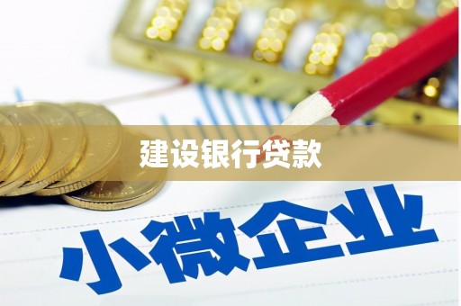 保康建设银行贷款