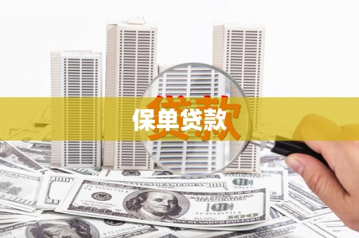 保康保单贷款
