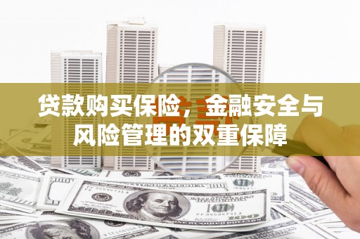 保康贷款购买保险，金融安全与风险管理的双重保障