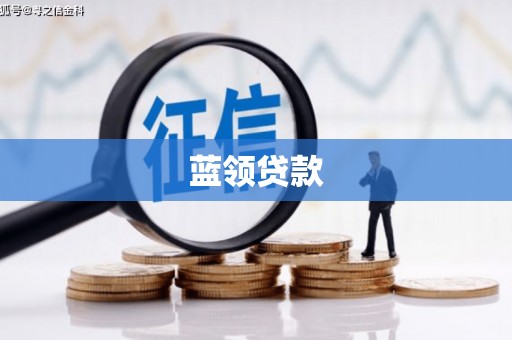 保康蓝领贷款
