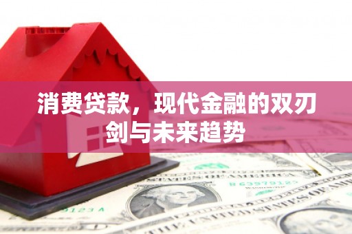 保康消费贷款，现代金融的双刃剑与未来趋势